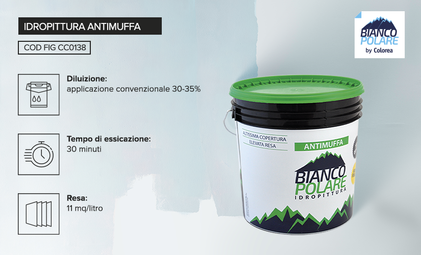 Idropittura antimuffa