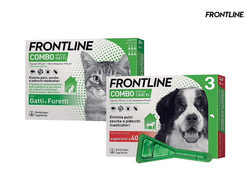 antiparassitario cani gatti frontline