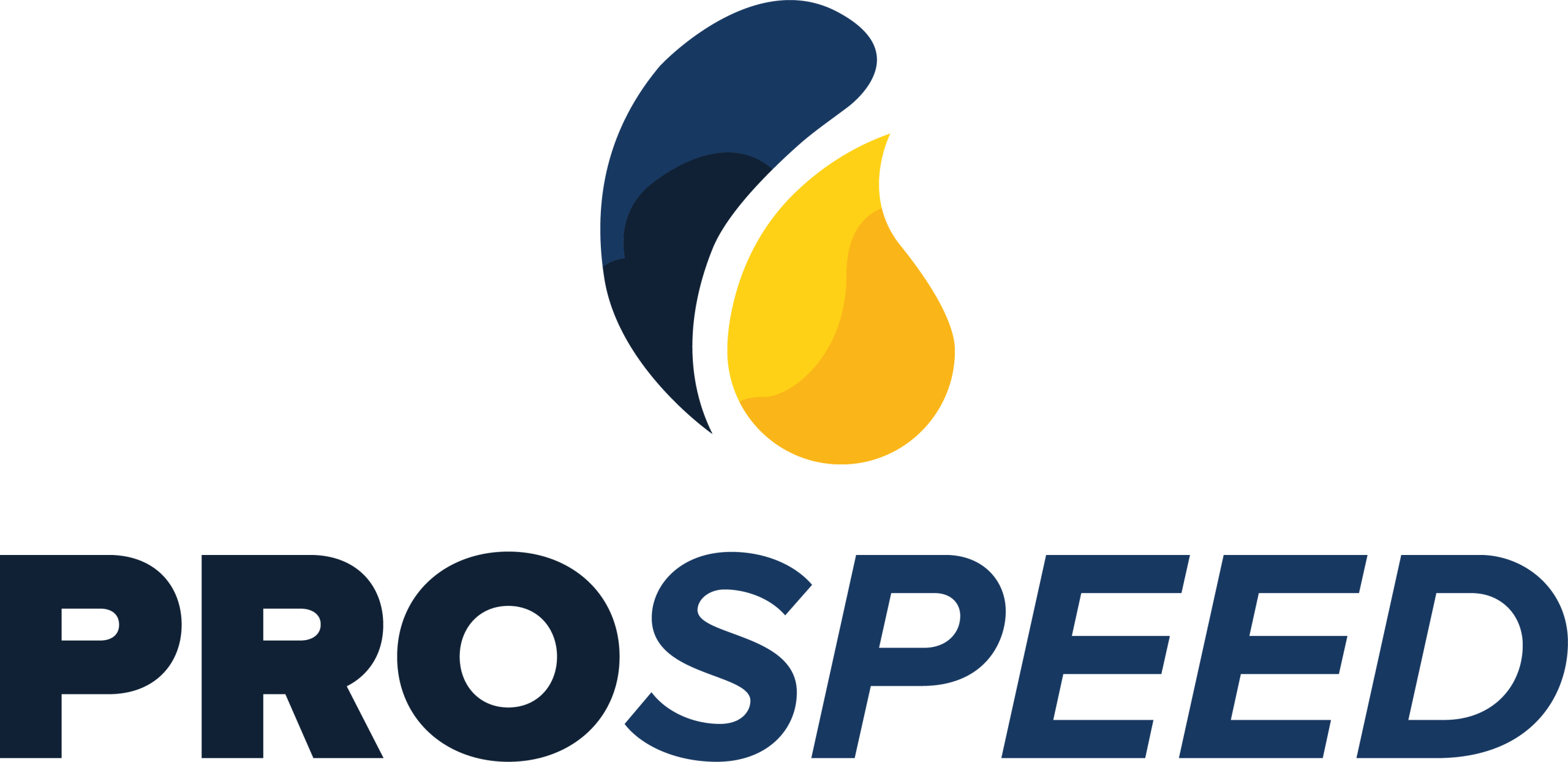 i nostri marchi - logo prospeed
